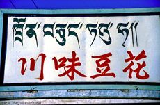 Tibet (197 von 257).jpg